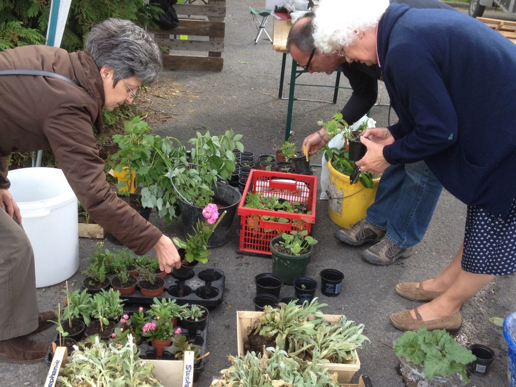 bourse aux plantes